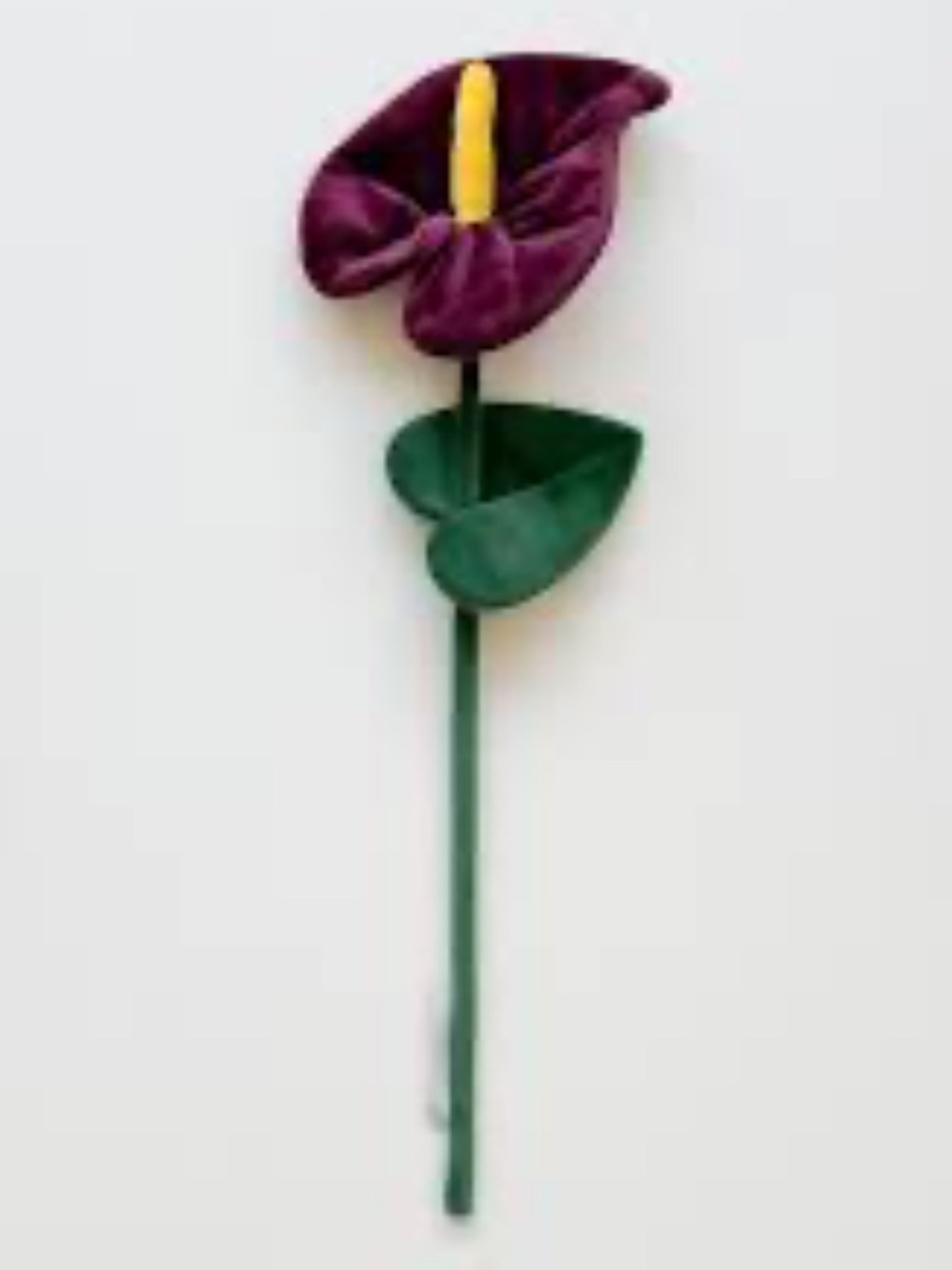 CJ Hendry Flower Market Purple Calla Lily